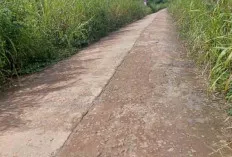 Ngeri! Akses Jalan Ini Hanya Bisa Dilalui Satu Jalur Saja, Warga Berharap Ada Perhatian 