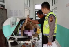 Tabrakan Maut di Jalinsum, Penumpang Motor Tewas Terhimpit Fuso