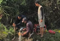 Sawah di OKU Timur Terdampak Kemarau, Petani Andalkan LPG 3 Kg untuk Pompa Air