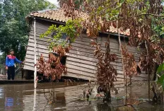 Waduh, Satu Rumah Milik Warga di Lais Ambruk, Ini Penyebabnya