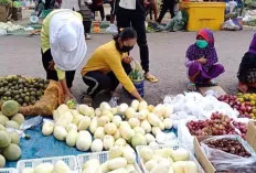 Ramadan, Penjualan Timun Suri Meningkat, Pedagang Sumeringah 