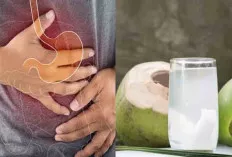 Ternyata Usus Besar Kita Bisa Atasi Alergi Makanan