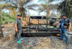 Sebabkan Kebakaran Hebat, Pemilik Masakan Minyak Illegal Diamankan 