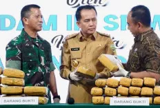 Sinergitas Pemprov Sumsel Bersama BNNP Sumsel Akan Berantas Narkoba