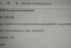 Link BKPSDM Musi Banyuasin Error? Peserta Seleksi PPPK 2023 Bingung Cari Pengumuman 