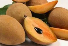 Mau Tahu Manfaat Besar Buah Sawo bagi Kesehatan Tubuh Manusia, Ini Dia