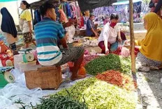 Emak-Emak di Sanga Desa Tersenyum Harga Cabai Kembali Turun