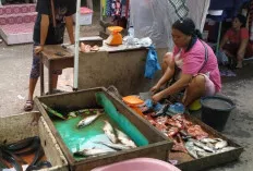 Harga Ikan Gabung Melambung 