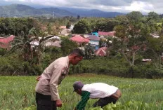 Dukung Program Ketahanan Pangan, Polsek Pagar Alam Lakukan Sambang dan Penyuluhan Kepada Petani