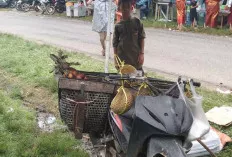 Datangi Acara Pernikahan, Pedagang Buah Durian Ini Gelar Lapak 