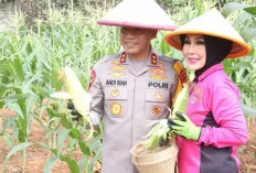 Launching Program P2L di Kebun Lestari Komplek Pakri Palembang 