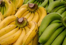Berikut 8 Manfaat Pisang Ambon untuk Kesehatan!