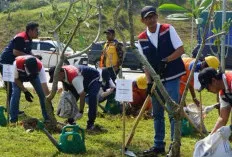 Peringati Hari Bumi 2026, Hutama Karya Tanam 17.000 Pohon di Tol Trans Sumatera