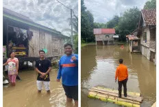 Intensitas Hujan Tunggi, Sungai Ogan Meluap, Puluhan Rumah di Lubuk Keliat Ogan Ilir Terendam Banjir 