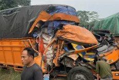 Brakk! Dump Truk Adu Kambing dengan Fuso di Jalintim Tungkal Jaya Muba, Begini Kondisi Supir