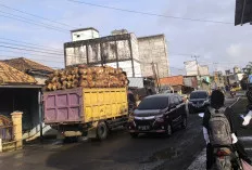 Truk Sawit Tanpa Jaring Pengaman Resahkan Pengguna Jalan
