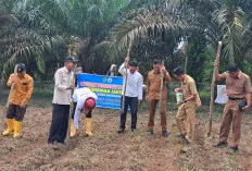 Desa Srigunung Jalankan Program Ketahanan Pangan 2025, Fokus Peternakan Sapi dan Budidaya Jagung