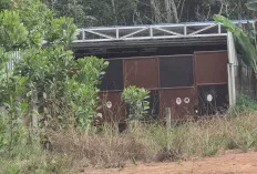 Segini Omset Bisnis BBM Solar Oplosan Illegal, Minyak dari Muba, Hasilnya Menggiurkan   