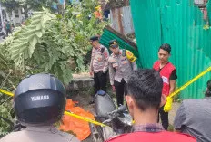 Tragedi Siang Hari di Jalan Kapten A Rivai Palembang, Pengendara Motor Meninggal Tertimpa Pohon
