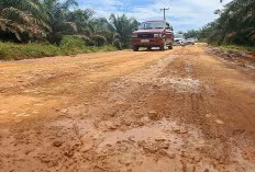 Impian Warga Cinta Damai: Jalan Poros Desa yang Mendambakan Sentuhan Aspal