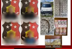 Nekat Curi 1,3 Ton Sawit, Empat Pelaku Diringkus Polsek Sungai Lilin