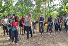 Dukung ketahanan Pangan, Polres Lahat bersama Warga Desa Lakukan Penanaman Bibit Jagung 