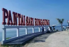 Pesona Pantai Sari Ringgung, Surga Tersembunyi dengan Pasir Timbul di Tengah Laut Lampung
