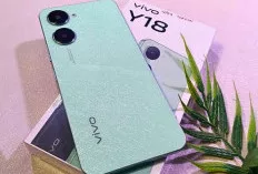 vivo Y18, HP Murah dengan NFC dan Kamera 50MP yang Semakin Menarik di Kelas Rp1 Jutaan