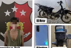  Nyuri Motor dan Pompa Air di Talang Siku Pinang Banjar, Pria Ini Diamankan Polisi