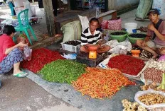 Harga Jual Turun, Tapi Permintaan Cabai Meningkat Tajam, Ternyata Ini Penyebabnya 