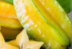 Segarkan Tubuh, Dapatkan Sehatnya! Inilah Keajaiban Buah Belimbing yang Jarang Diketahui