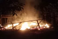 Gegara Racun Nyamuk, Satu Rumah di Pedamaran OKI Hangus Terbakar 