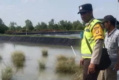 Warga Desa Bumi Pratama Mandira Tangkap Buaya Liar Sepanjang 4 Meter 