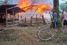 Rumah Warga di Bukit Sejahterah Batanghari Leko Terbakar, Satu Keluarga Kehilangan Tempat Tinggal
