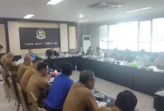 DPRD Palembang Klarifikasi Perekrutan PPPK, Perjuangkan Honorer yang Tak Lulus  