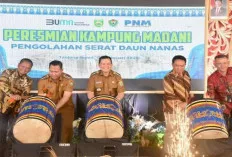 Sumsel Kembangkan Industri Serat Daun Nanas, Berpotensi Ekspor ke Luar Negeri