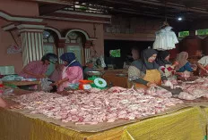 Jelang Nataru 2025 Harga Ayam Potong Melonjak Naik