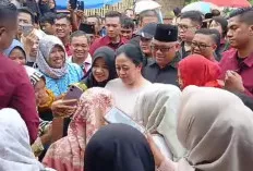 Ketua DPR RI Kunjungi Kampung Halaman di Desa Tanjung Raman 