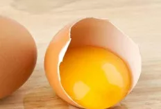 Rahasia Kesehatan dari Kuning Telur, Lebih dari Sekadar Sumber Protein