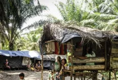  Mengenal Suku Anak Dalam, Penjaga Rimba yang Kian Terpinggirkan