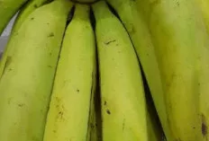 Saat Sahur Jangan Lupa Buah ini 