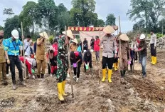 Sinergi Polri dan Pemerintah Kecamatan Sanga Desa Gelar Penanaman Jagung untuk Ketahanan Pangan Lokal