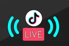 Ini Nih! Strategi Live TikTok Efektif, Raih Ribuan Penonton!