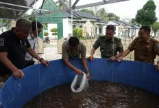 Tebar Ribuan Benih Ikan Lele dan Patin, Kodim 0402/OKI Dukung Tingkatkan Ketahanan Pangan 