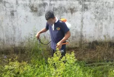 Lapas Sekayu Lakukan Perawatan Tanaman Terong dan Lahan Ketahanan Pangan