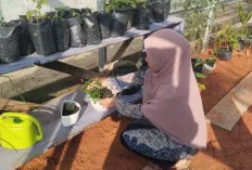  MAN 1 Muba Kembangkan Greenhouse Edukatif untuk Siswa