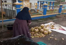Buah Dogan Merah Ternyata Bisa Sembuhkan Penyakit Ini, Pedagang Laris Manis 