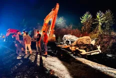 Tragedi di Tanjakan Maut Muba: Truk Batu Bara Timpa Innova, Dua Penumpang Tewas Seketika