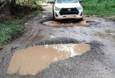 Akses Jalan Menuju Desa Tanjung Agung Barat, Dikeluhkan Warga 