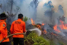 BPBD Muara Enim Catat 33 Karhutla, Lebih 55 Hektare Lahan Terbakar